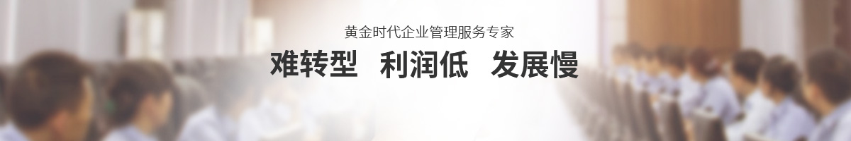 顧問式咨詢項(xiàng)目助力企業(yè)成長