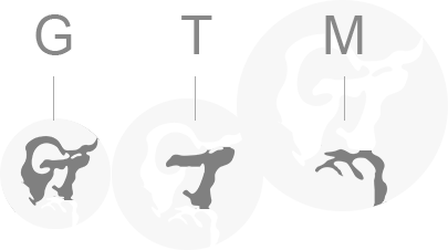 “GTM”三個英文字母組成，代表黃金時代管理：
